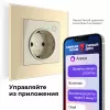 Werkel слоновая кость Розетка 220v Умный дом Wi-Fi. W1171603 (фото 15)