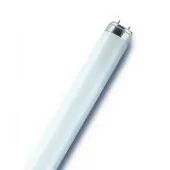 L 30W/840 (холодный белый) PLUS ECO - лампа люминесцентная Lumilux Plus, Osram